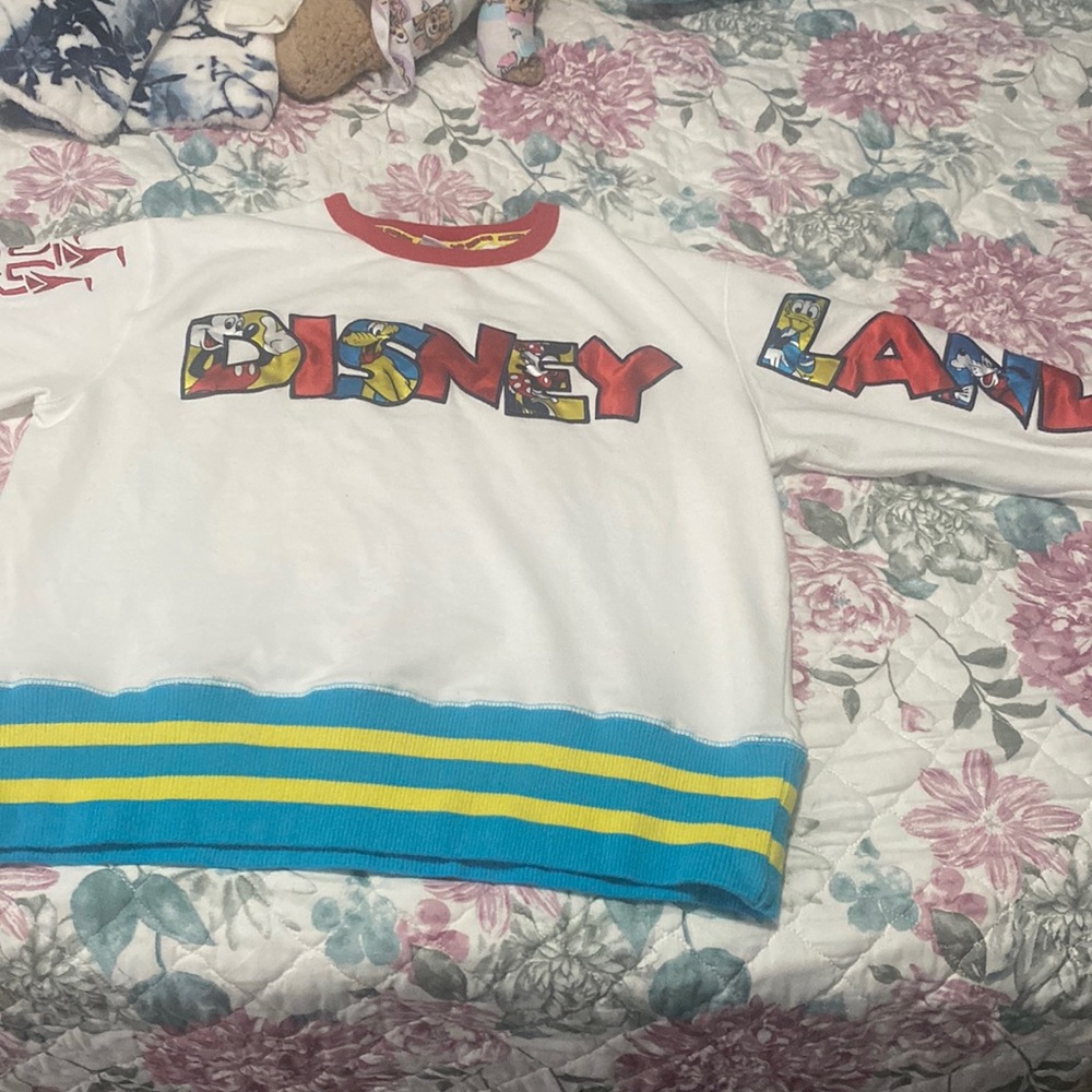 Disneyland sweater